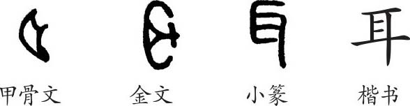 《耳》字义《耳》字的字形演变,小篆隶书楷书写法《耳》