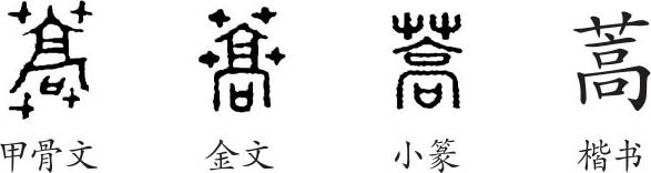 《蒿》字義,《蒿》字的字形演變,小篆隸書楷書寫法《蒿》 - 說文解字