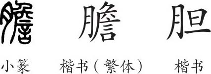 《胆》字义《胆》字的字形演变,小篆隶书楷书写法《胆》