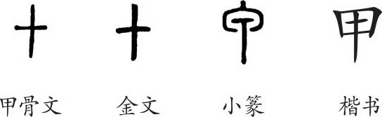 《甲》字義,《甲》字的字形演變,小篆隸書楷書寫法《甲》