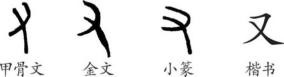 《又》字義,《又》字的字形演變,小篆隸書楷書寫法《又》