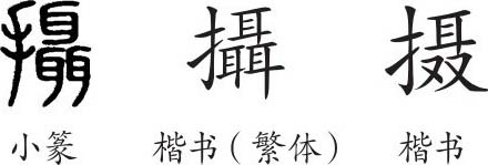 《摄》字义《摄》字的字形演变,小篆隶书楷书写法《摄》