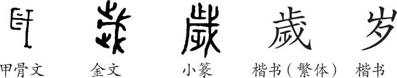 岁 字义 岁 字的字形演变 小篆隶书楷书写法 岁 岁字的由来和演变过程 爱在网