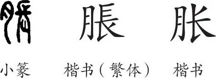 "胀"是形声兼会意字.楷书繁体写作"胀,从肉,长声,长兼表张大之意.