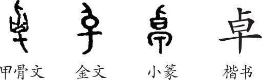 《卓》字義,《卓》字的字形演變,說文解字《卓》