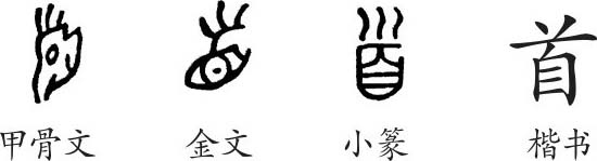 《首》字义《首》字的字形演变,小篆隶书楷书写法《首》